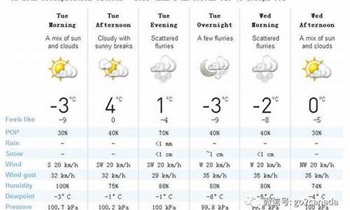 加拿大多伦多天气_加拿大多伦多天气预报今